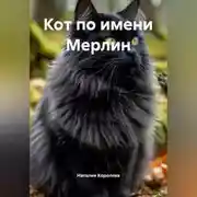Постер книги Кот по имени Мерлин.