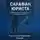 Константин Саидов - Сарафан юриста