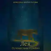 Постер книги Лея. Путешествие к любви