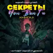 Постер книги Секреты Чон Ван Ги – 2