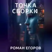 Постер книги Точка сборки