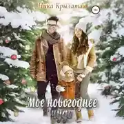 Постер книги Мое новогоднее чудо