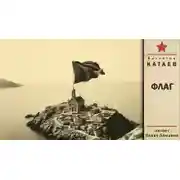Постер книги Флаг