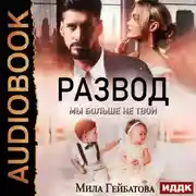 Постер книги Развод. Мы больше не твои