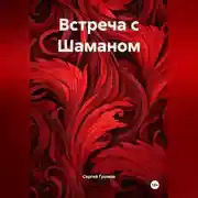 Постер книги Встреча с Шаманом