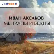 Постер книги Мы глупы и бедны