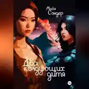 Постер книги Два колдующих дитя