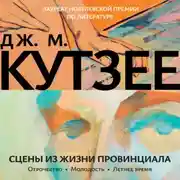 Постер книги Сцены из жизни провинциала. Отрочество. Молодость. Летнее время
