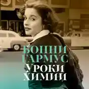 Постер книги Уроки химии