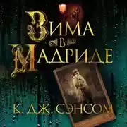 Постер книги Зима в Мадриде