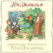 Постер книги Невероятные приключения То и Сё в Африке