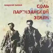 Постер книги Соль партизанской земли