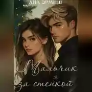 Постер книги Мальчик за стенкой