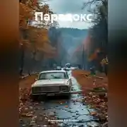 Постер книги Парадокс