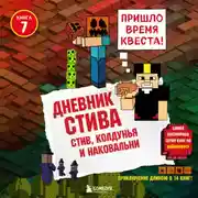 Постер книги Стив, колдунья и наковальни