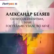 Постер книги Огни социализма, или Господин Уэллс во мгле