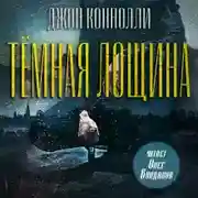 Постер книги Тёмная лощина