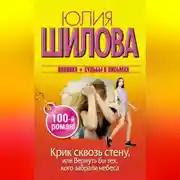Постер книги Крик сквозь стену, или Вернуть бы тех, кого забрали небеса