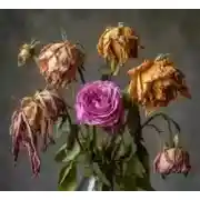 Постер книги Их на могилу стыдно положить