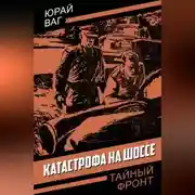 Постер книги Катастрофа на шоссе