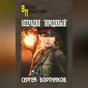 Постер книги Операция «Юродивый»