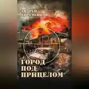 Постер книги Город под прицелом