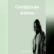 Постер книги Соседская жизнь.