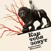 Постер книги Как тебя зовут