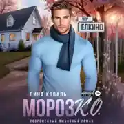 Постер книги Мороз К.О. Мэр Ёлкино