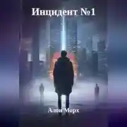 Постер книги Инцидент номер 1