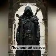 Постер книги Последний вызов