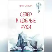 Постер книги Север в добрые руки