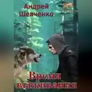 Постер книги Время выживания