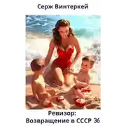 Постер книги Ревизор: возвращение в СССР 36