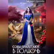 Постер книги Совы прилетают в полночь