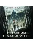 Джеймс Дэшнер - Бегущий в Лабиринте