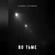 Постер книги Во тьме