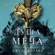 Постер книги Душа меча