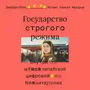 Постер книги Государство строгого режима. Внутри китайской цифровой антиутопии