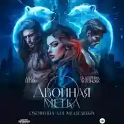 Постер книги Двойная метка. Охотница для Медведевых