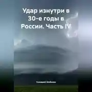 Постер книги Удар изнутри в 30-е годы в России. Часть IV