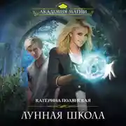 Постер книги Лунная школа