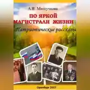 Постер книги По яркой магистрали жизни