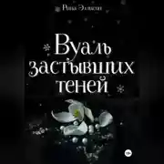 Постер книги Вуаль застывших теней
