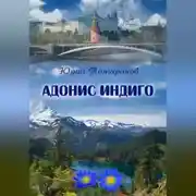 Постер книги Адонис Индиго