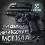 Постер книги Неглубокая могила