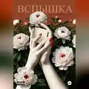 Постер книги Вспышка