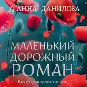 Постер книги Маленький дорожный роман