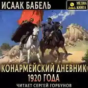 Постер книги Конармейский дневник 1920 года
