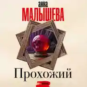 Постер книги Прохожий